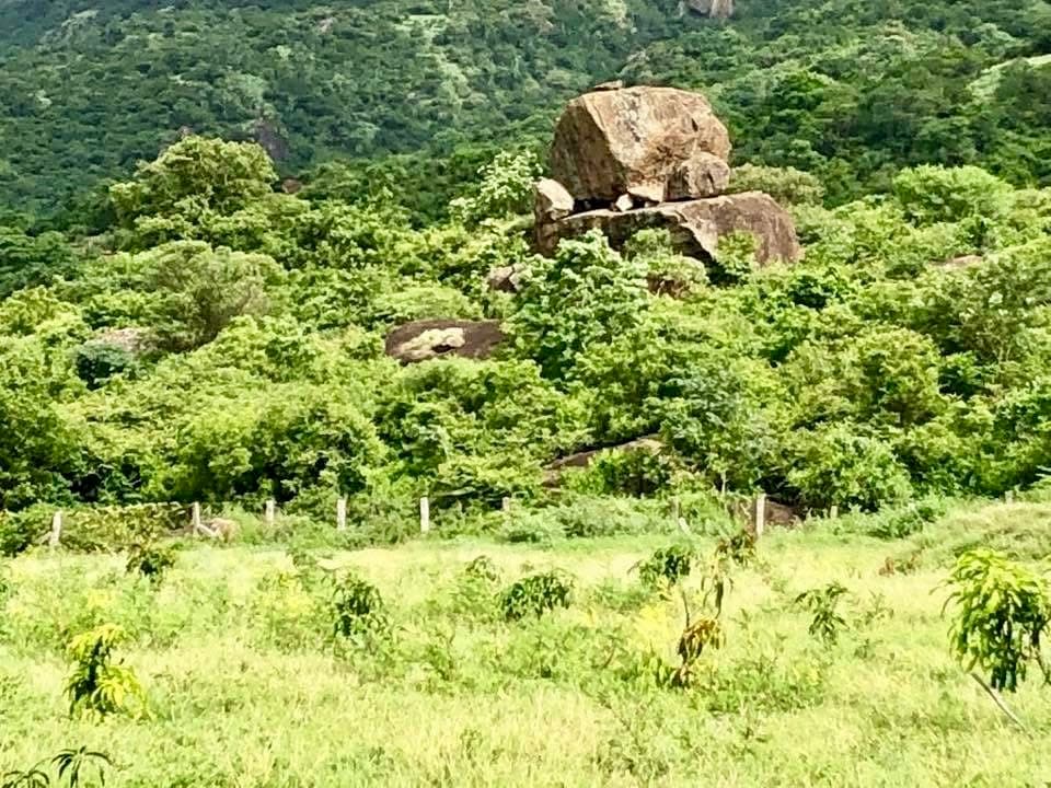 Ancient boulder rock formation amid green forest landscape at HillSide Oasis property Pollachi